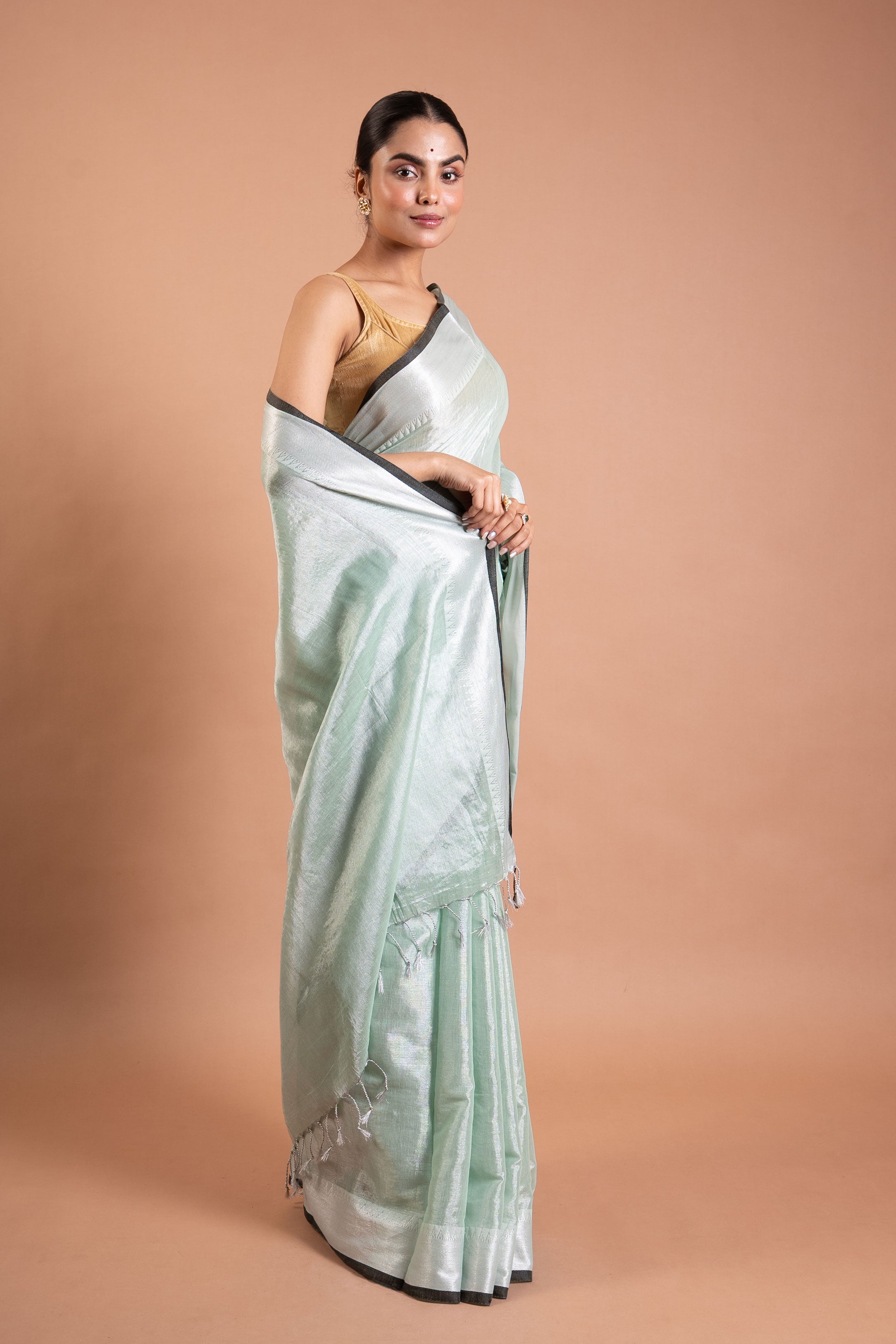 Mint Silver Glow Pure Tissue Saree